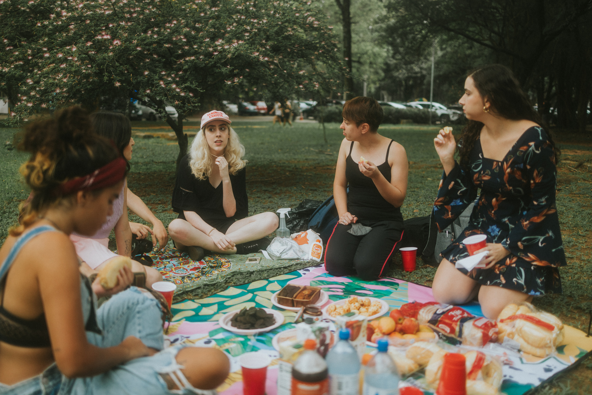 Women Having a Picnic in Park